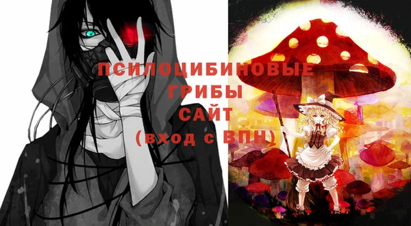 молекула духа Горнозаводск
