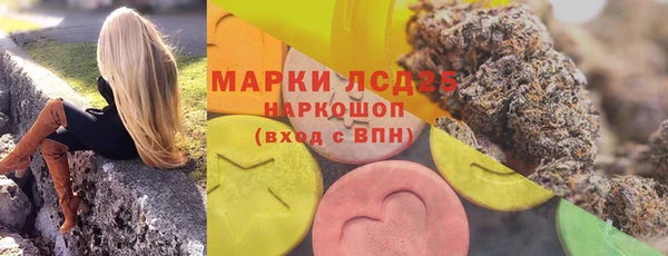 молекула духа Горнозаводск