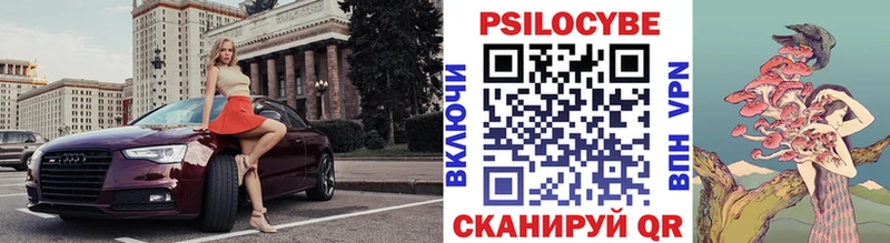 Псилоцибиновые грибы мицелий  Купить закладки  Зима 